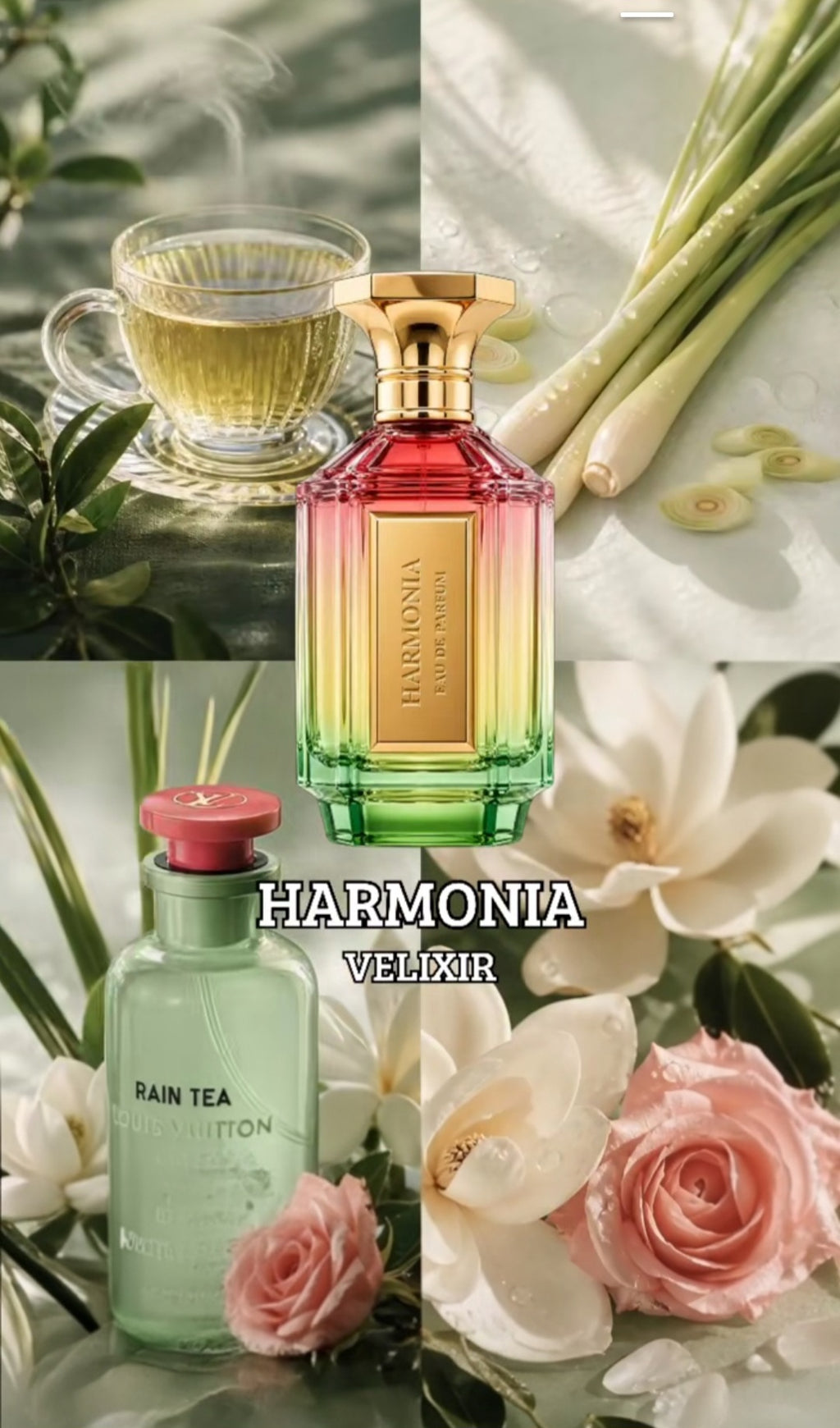 Harmonia by Velixir EDP 100 ml